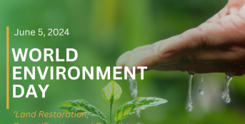 Celebrating World Environment Day: Our Strategies for Addressing Environmental Degradation.