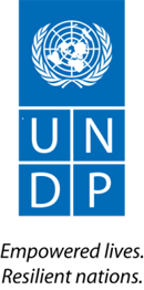 2. UNDP